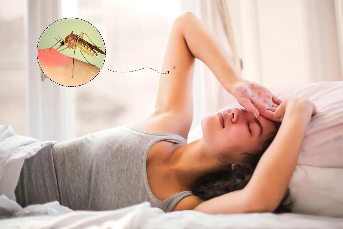Vì sao số người chết do sốt xuất huyết tăng 6 lần